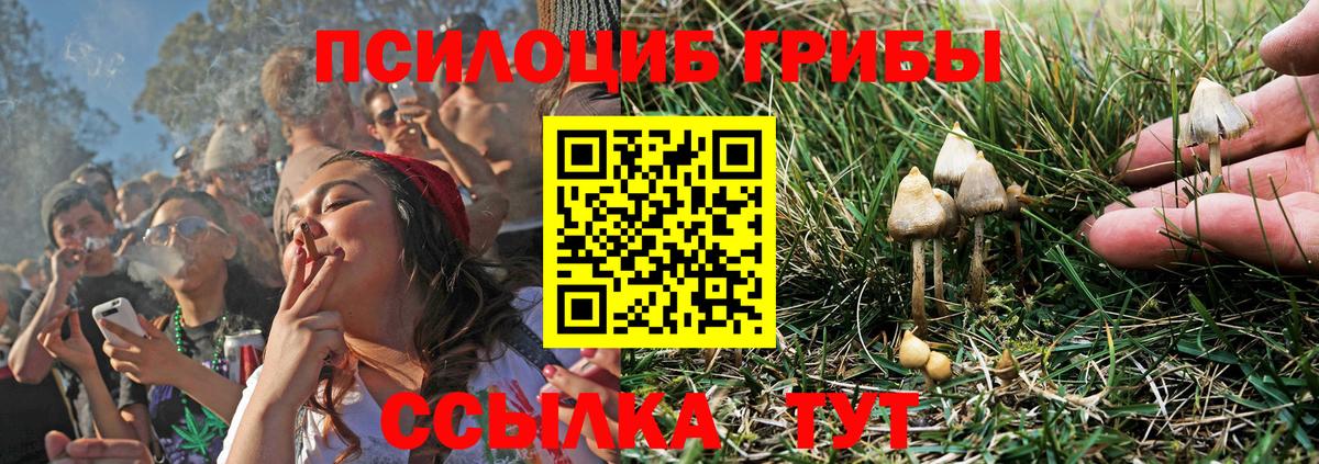 Галлюциногенные грибы Psilocybine cubensis  Вход с VPN  Галлюциногенные грибы Cubensis  Комсомольск-на-Амуре 
